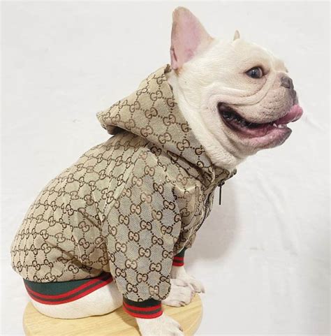 gucci dog clothes wholesale|luxury designer dog accessories.